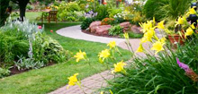  Lansing MI Commercial Landscaping