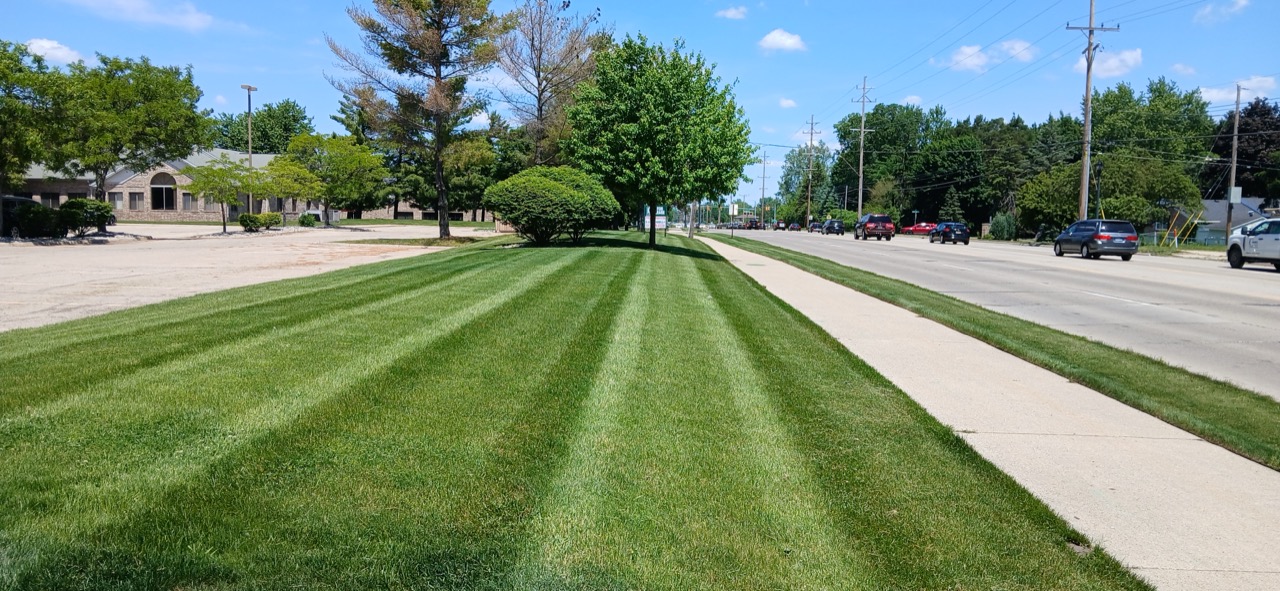 Striped commercial lawn bordering a sidewalk with an office building in the background