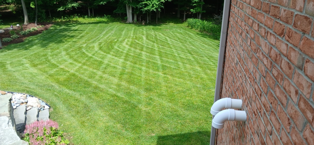 Crosscut diamond mowing pattern on a backyard lawn bordered by wooded lot and paver patio
