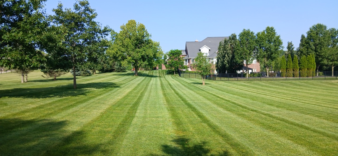 Long striped lawn along a black metal fence line with a brick home in the background