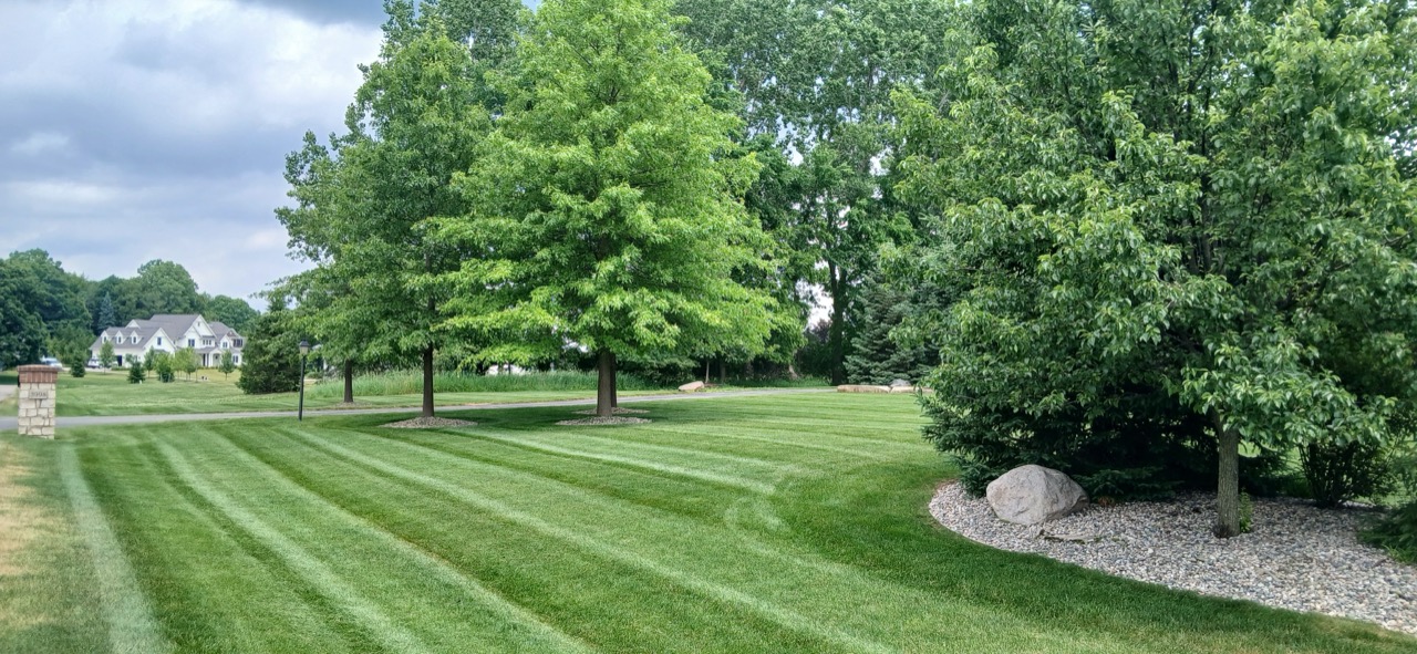 Wide striped lawn under an overcast sky, lined with mature shade trees near a driveway entrance