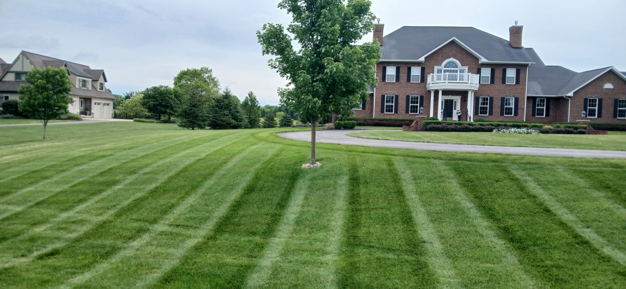 Evenly striped lawn beside a brick colonial home with black shutters and a chimney