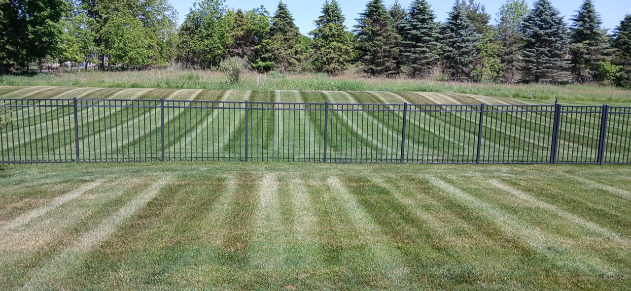 Striped lawn inside a black metal fence with a wooded backdrop and shade trees