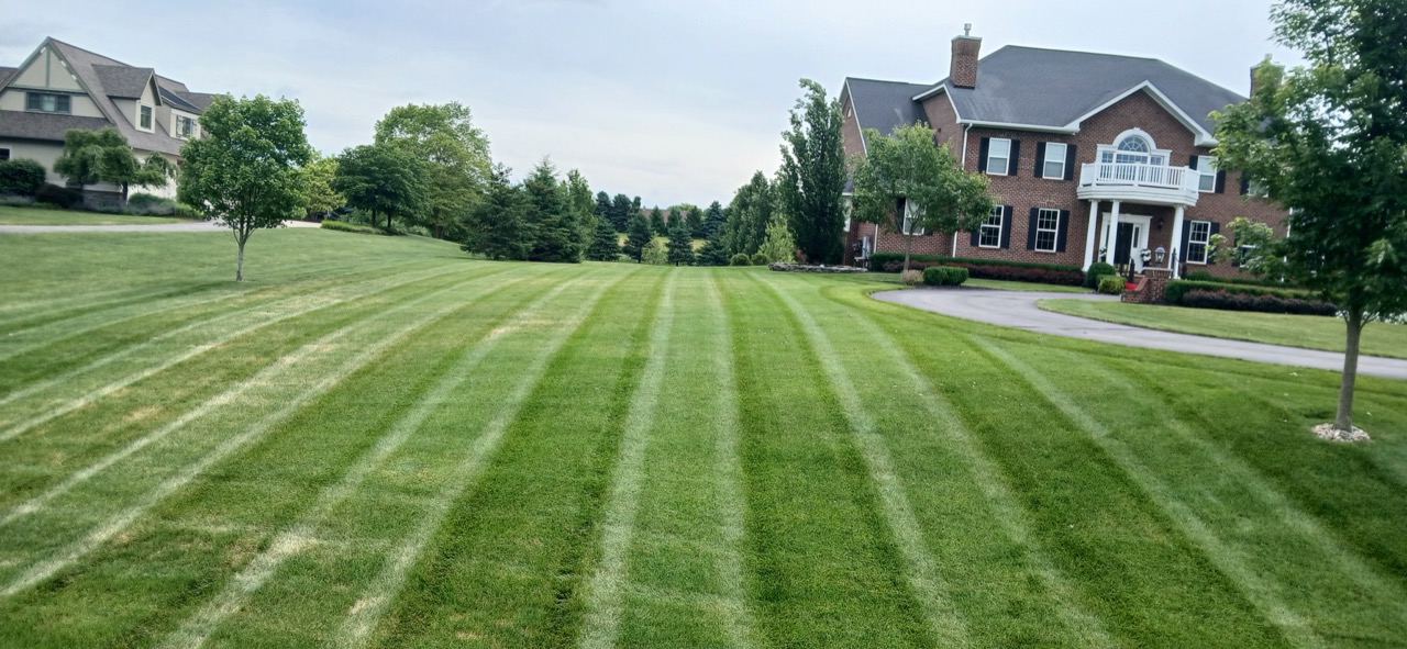 Residential Landscaping Company Near Me