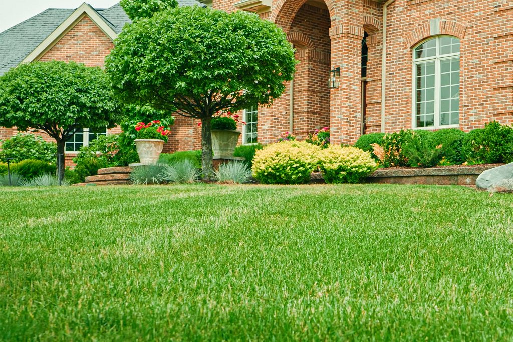 Landscaping Company in Greater Lansing MI