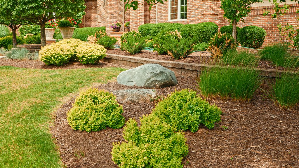 Residential shrub and mulch bed landscaping